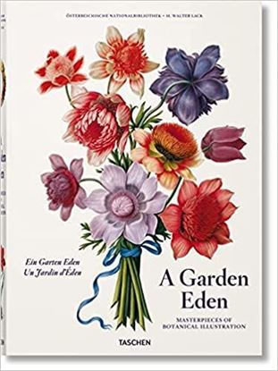 Imagen de A GARDEN EDEN (FP) (IE)