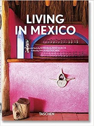 Imagen de LIVING IN MEXICO (40) (INT)
