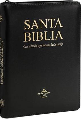 Imagen de SANTA BIBLIA RVR CONC. PJR (ACOLCHADA)