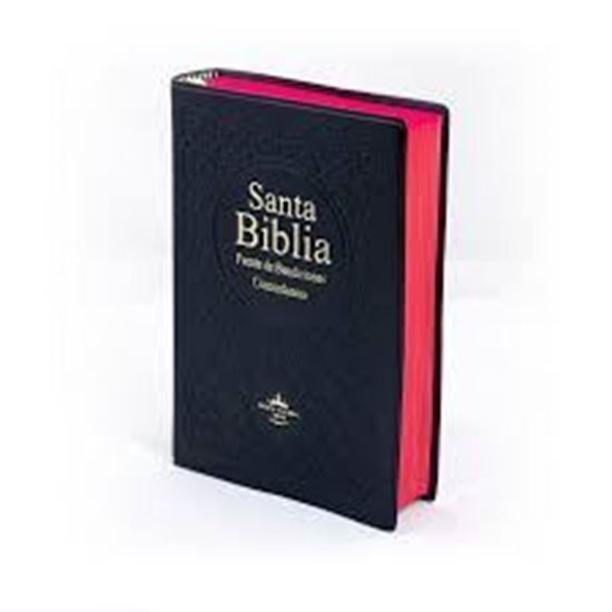 Imagen de SANTA BIBLIA FUENTE DE BENDICIONES CONC.