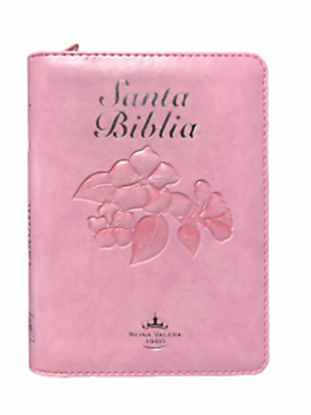 Imagen de SANTA BIBLIA FUENTE DE BEND. (ROSADA C.)