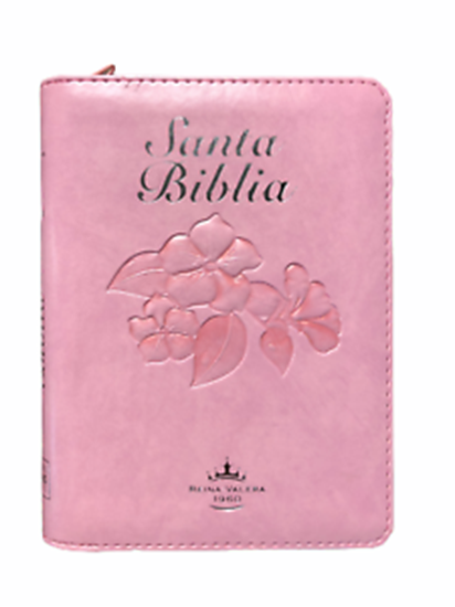Imagen de SANTA BIBLIA FUENTE DE BEND. (ROSADA C.)