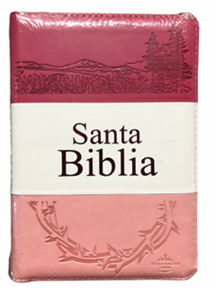 Imagen de SANTA BIBLIA RVR BICOLOR (ROSA/ROSA OSC.