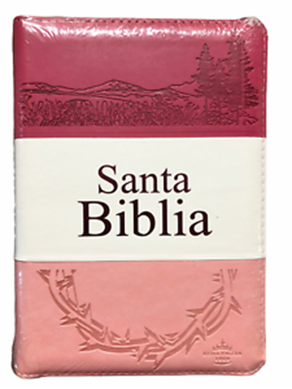 Imagen de SANTA BIBLIA RVR BICOLOR (ROSA/ROSA OSC.