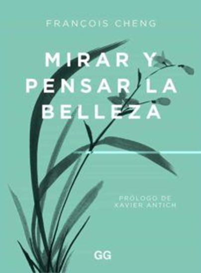 Imagen de MIRAR Y PENSAR LA BELLEZA (OF2)