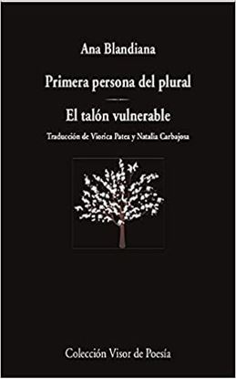 Imagen de PRIMERA PERSONA DEL PLURAL