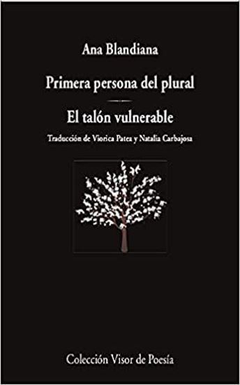 Imagen de PRIMERA PERSONA DEL PLURAL