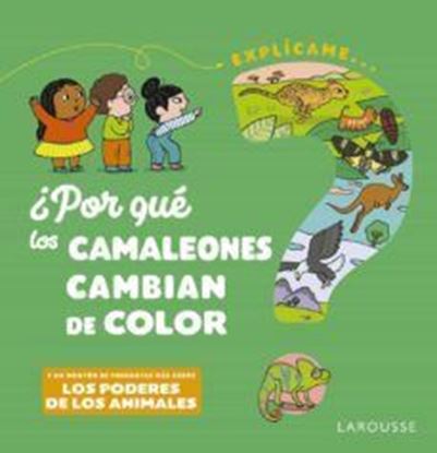 Imagen de POR QUE LOS CAMALEONES CAMBIAN DE COLOR