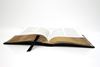Imagen de BIBLIA CATOLICA EN ESPAÑOL. SIMIL PIEL C