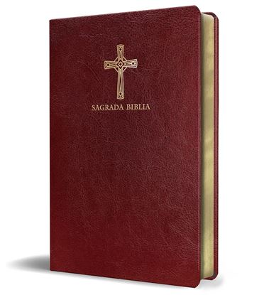 Imagen de BIBLIA CATOLICA EN ESPAÑOL. SIMIL PIEL V