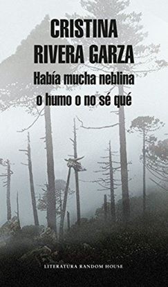 Imagen de HABIA MUCHA NEBLINA O HUMO O NO SE QUE