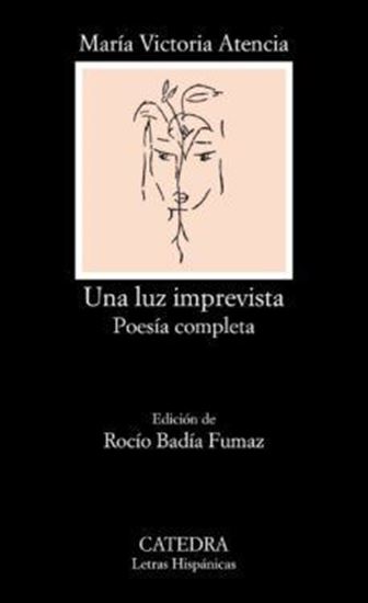 Imagen de UNA LUZ IMPREVISTA