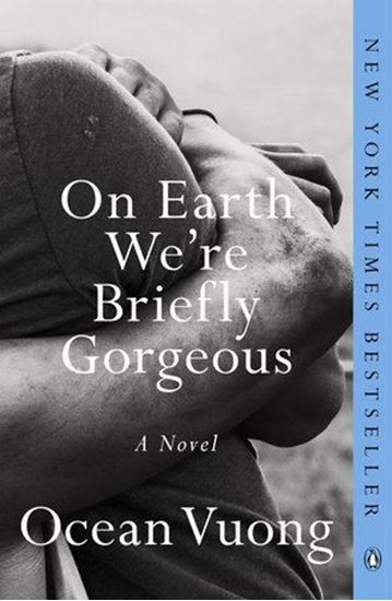 Imagen de ON EARTH WE'RE BRIEFLY GORGEOUS