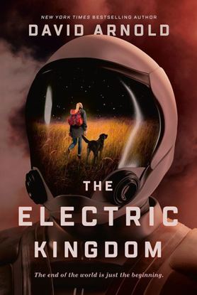 Imagen de THE ELECTRIC KINGDOM