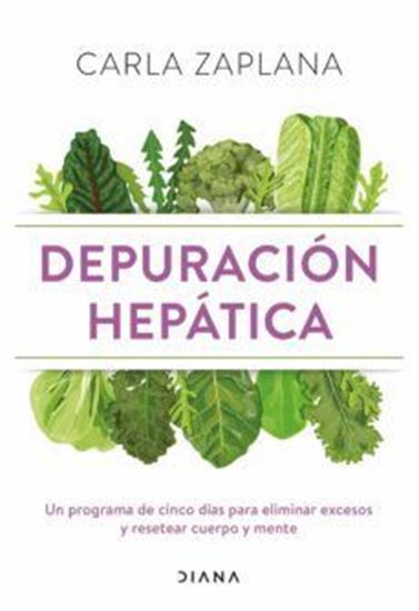 Imagen de DEPURACION HEPATICA