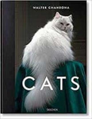 Imagen de WALTER CHANDOHA. CATS (FO) (INT)