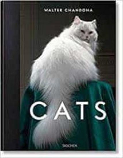 Imagen de WALTER CHANDOHA. CATS (FO) (INT)