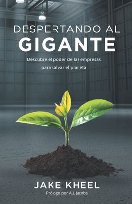Imagen de DESPERTANDO AL GIGANTE