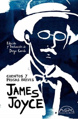 Imagen de CUENTOS Y PROSAS BREVES