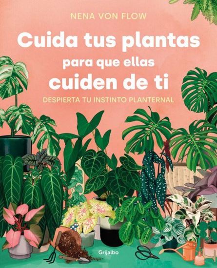 Imagen de CUIDA TUS PLANTAS PARA QUE ELLAS CUIDEN