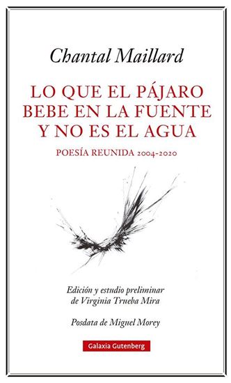 Imagen de LO QUE EL PAJARO BEBE EN LA FUENTE