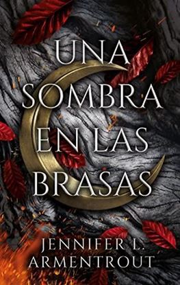 Imagen de UNA SOMBRA EN LAS BRASAS (SANGRE 0)