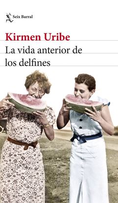 Imagen de LA VIDA ANTERIOR DE LOS DELFINES