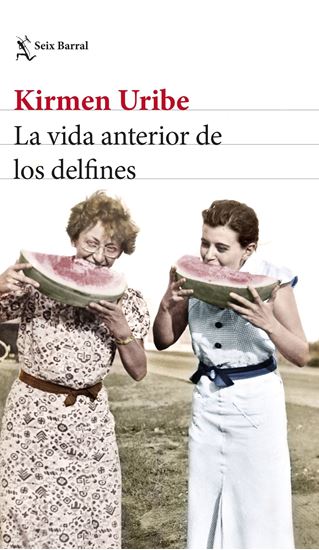 Imagen de LA VIDA ANTERIOR DE LOS DELFINES