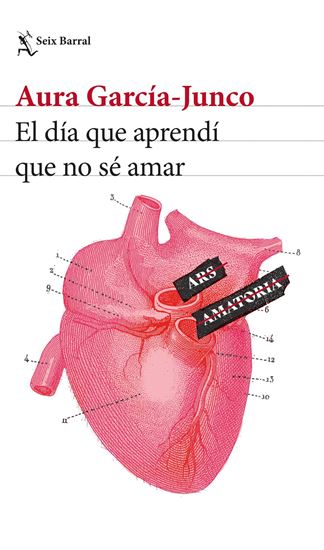 Imagen de EL DIA QUE APRENDI QUE NO SE AMAR
