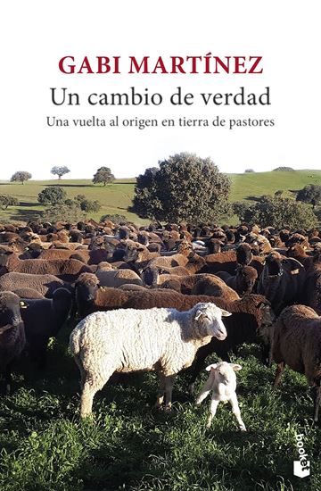 Imagen de UN CAMBIO DE VERDAD (BOL)