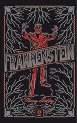 Imagen de FRANKENSTEIN (PIEL DE CLASICOS)