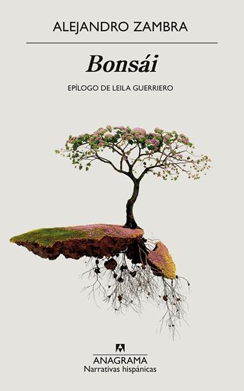 Imagen de BONSAI