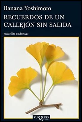 Imagen de RECUERDOS DE UN CALLEJON SIN SALIDA