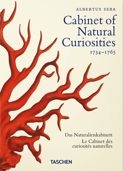 Imagen de SEBA. CABINET OF NATURAL CUR.(45TH)(INT)