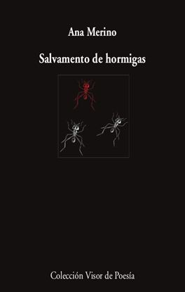 Imagen de SALVAMENTO DE HORMIGAS