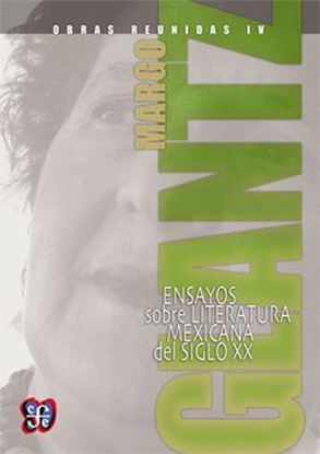 Imagen de OBRAS REUNIDAS IV. ENSAYOS SOBRE LITERAT