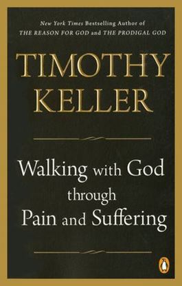 Imagen de WALKING WITH GOD THROUGH PAIN AND SUFFE