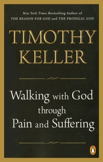 Imagen de WALKING WITH GOD THROUGH PAIN AND SUFFE