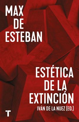 Imagen de ESTETICA DE LA EXTINCION (OF2)