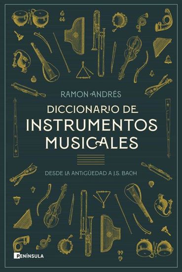 Imagen de DICCIONARIO DE INSTRUMENTOS MUSICALES