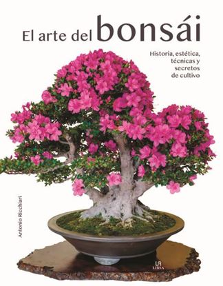 Imagen de EL ARTE DEL BONSAI