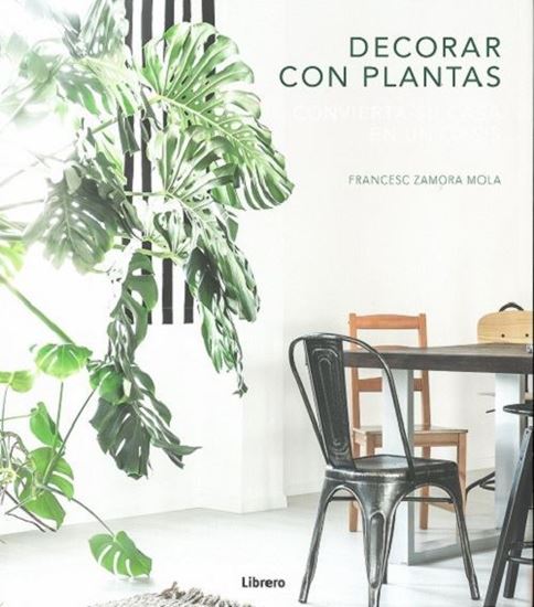 Imagen de DECORAR CON PLANTAS