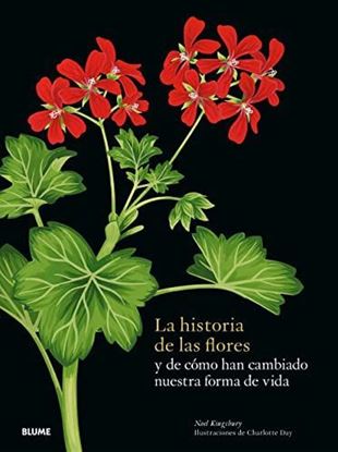 Imagen de LA HISTORIA DE LAS FLORES