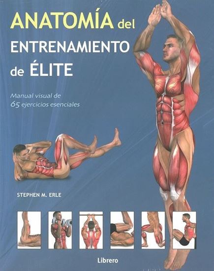 Imagen de ANATOMIA DEL ENTRENAMIENTO DE ELITE