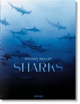 Imagen de SHARKS (FO) (GB)