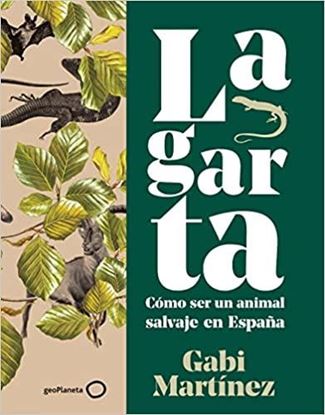 Imagen de LAGARTA (OF2)