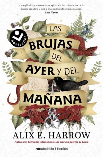 Imagen de BRUJAS DEL AYER Y DEL MAÑANA (BOL)