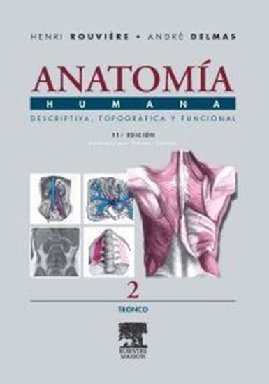 Imagen de ANATOMIA HUMANA 11 ED TOMO 2 TRONCO