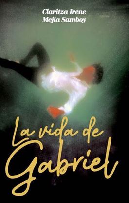 Imagen de LA VIDA DE GABRIEL