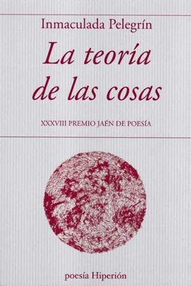 Imagen de LA TEORIA DE LAS COSAS